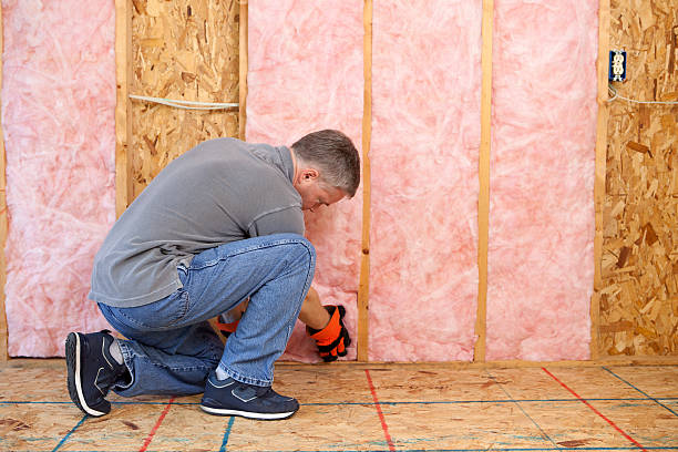 Best Eco-Friendly Insulation in Riverdale, IL