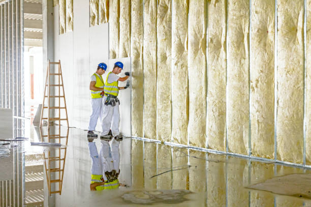 Best DIY Insulation Kits and Guidance in Riverdale, IL